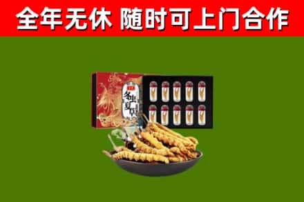 康定回收冬虫夏草价格