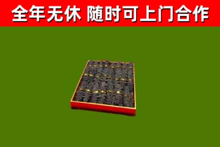 康定回收海参